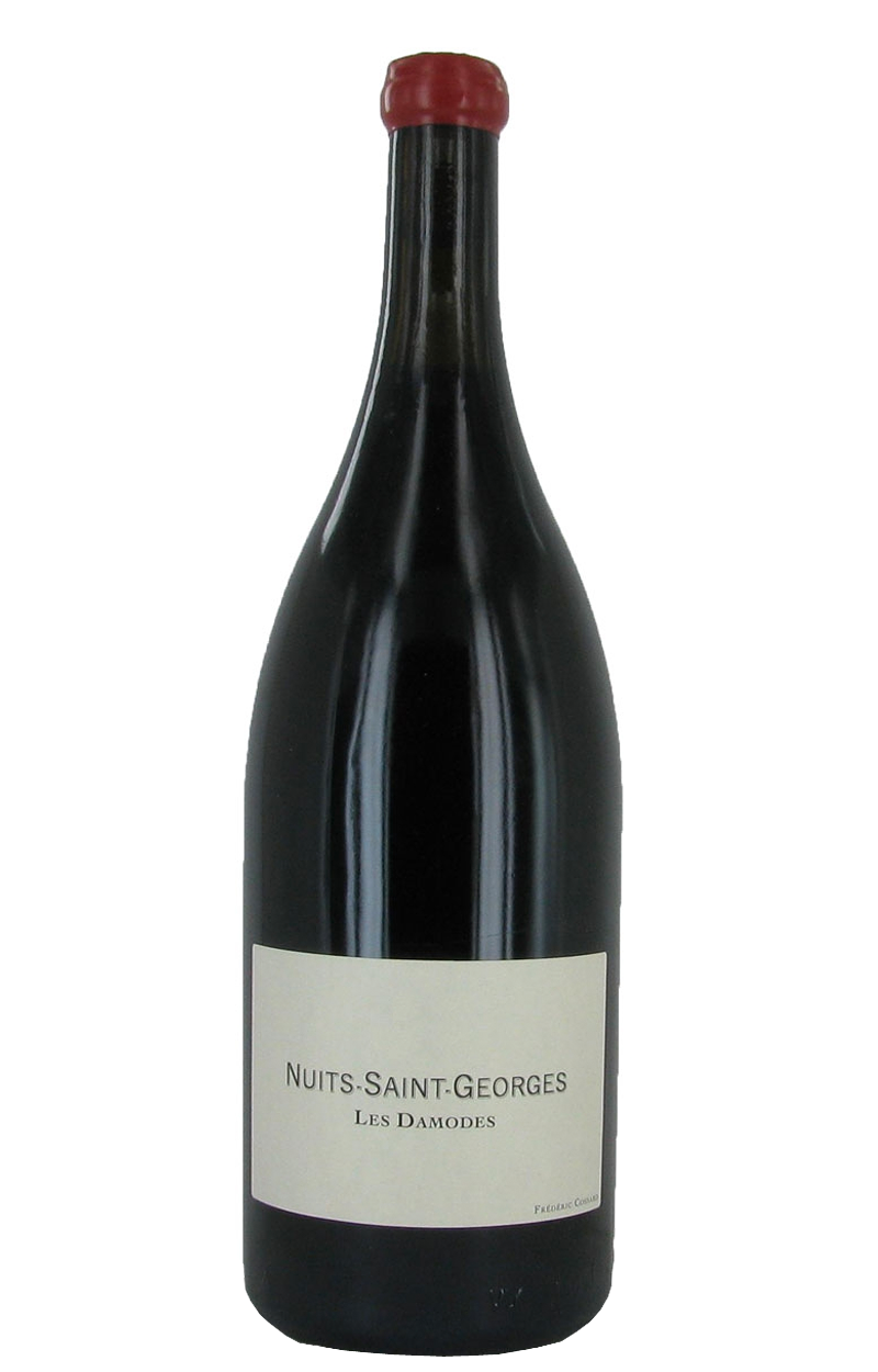 Nuits-Saint-Georges Les Damodes 2013 (Magnum)