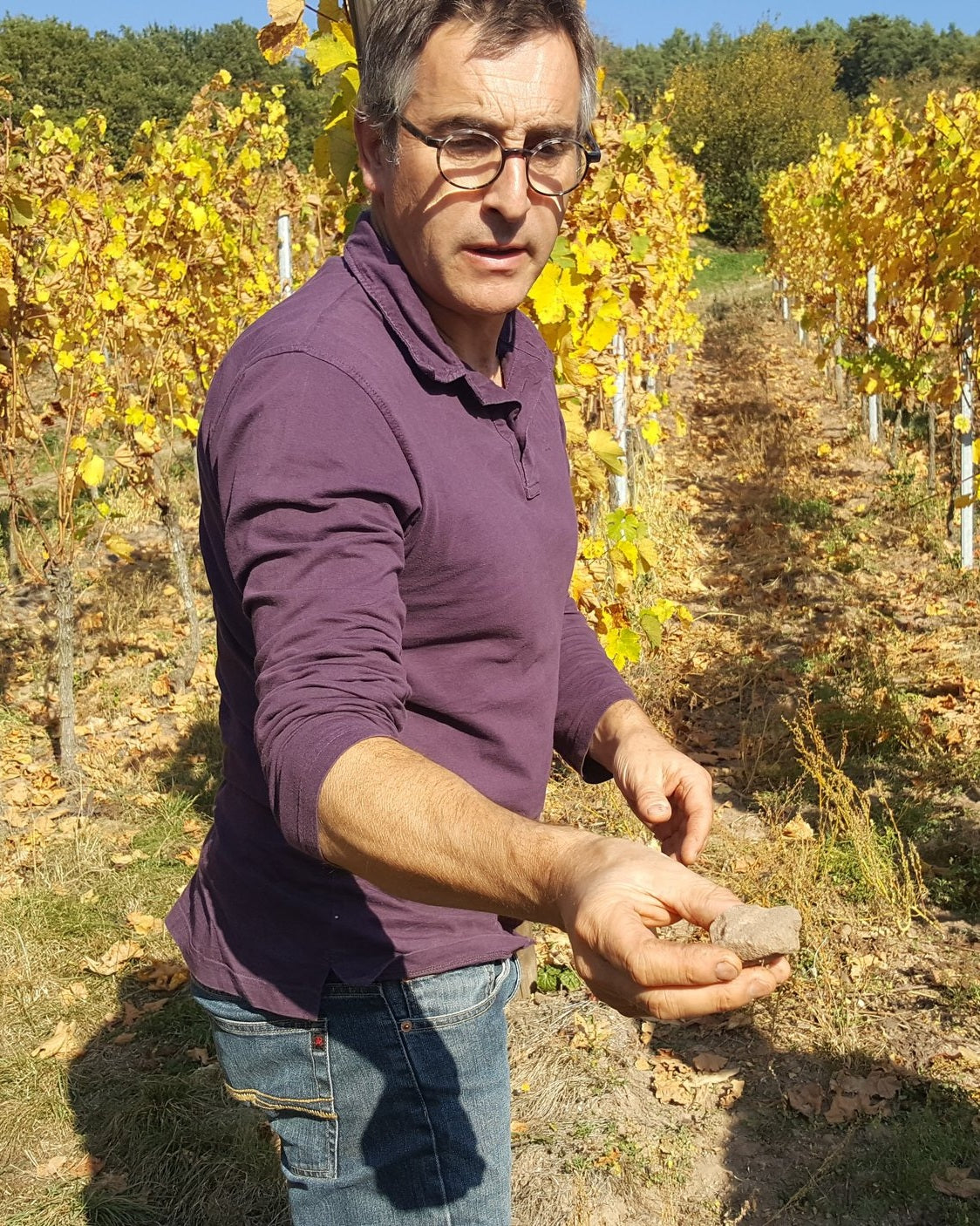 Domaine Rietsch – La Cave du Clown